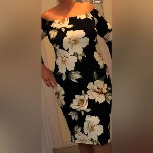 NWT Off the shoulder dress